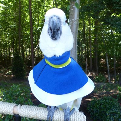 Deluxe Poncho {Sizes 7-15} – Feather Wear Shop - Main Image