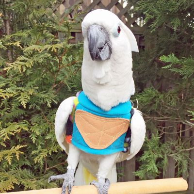 High Neck Feather Protector