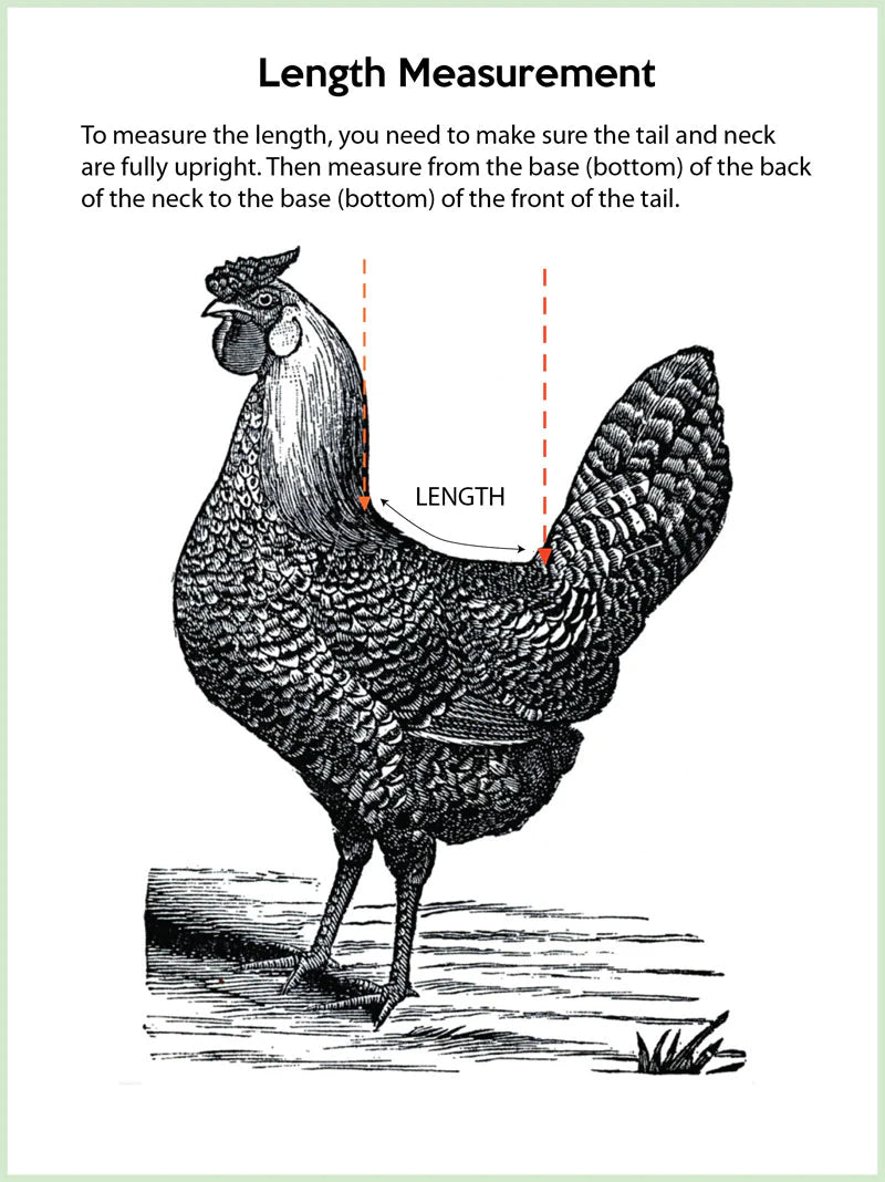 Sunny Days Flocksuit