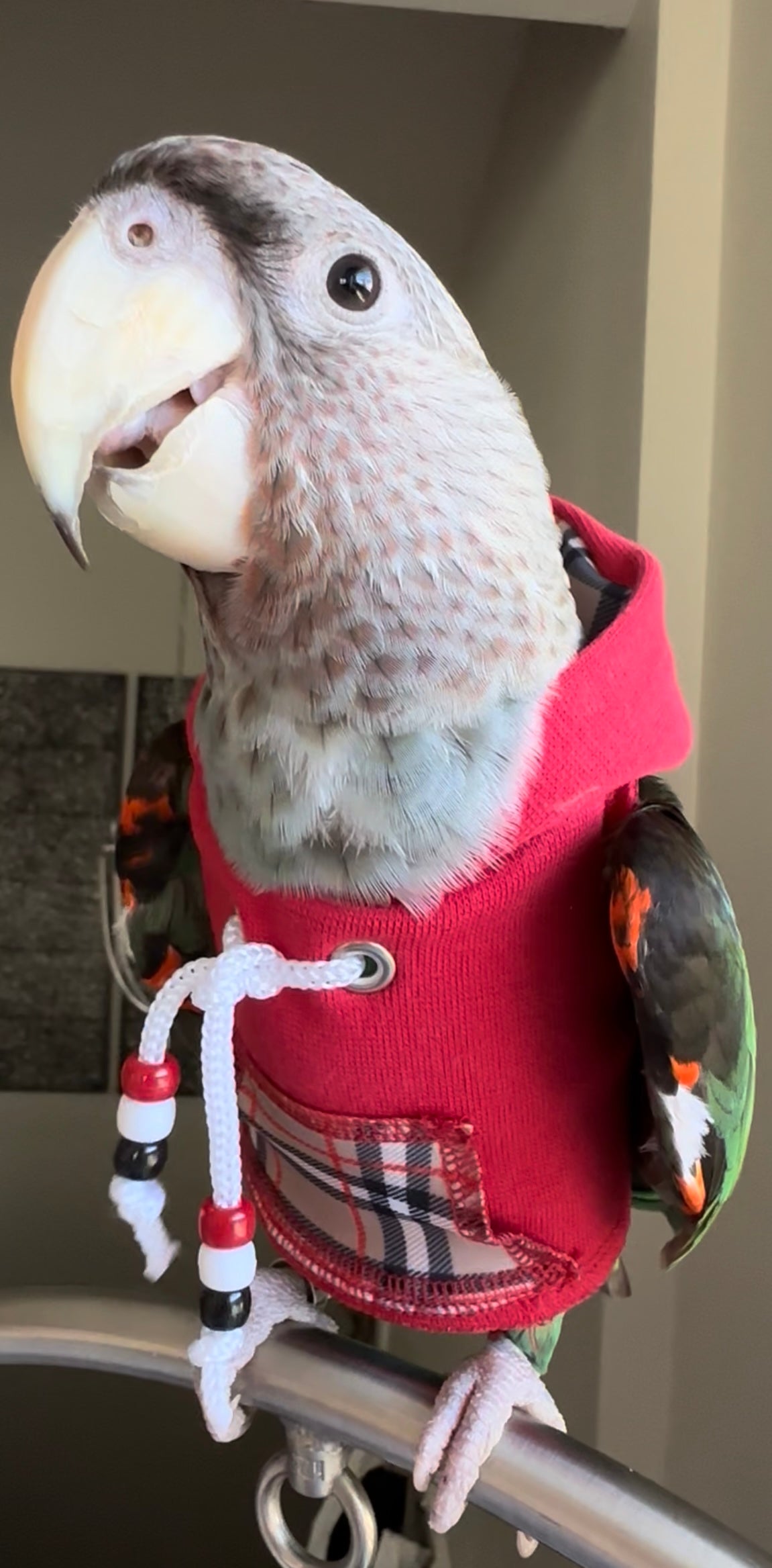 Design-your-Own-Hoodie – Feather Wear Shop - Main Image