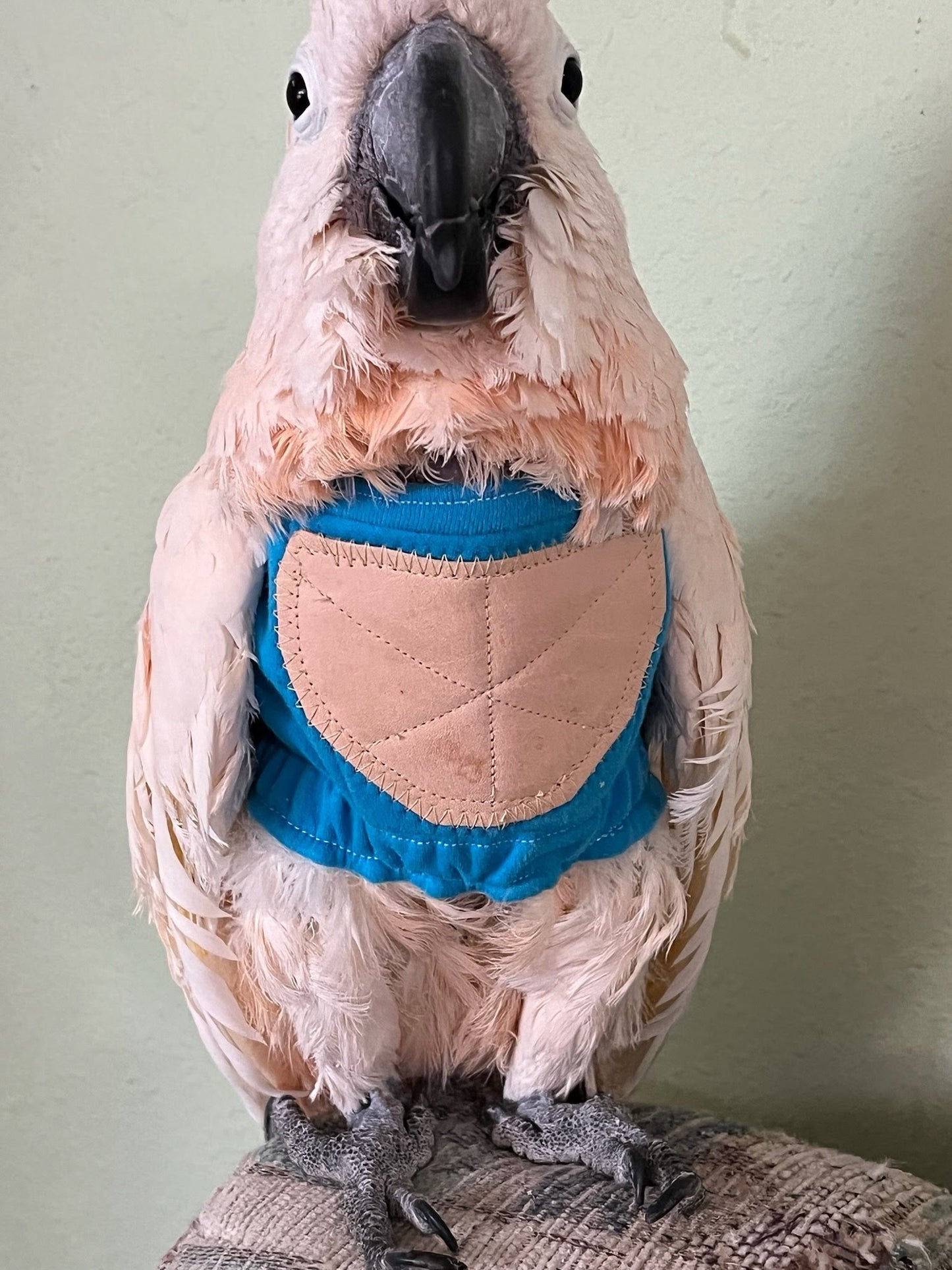 Back Closure Feather Protector