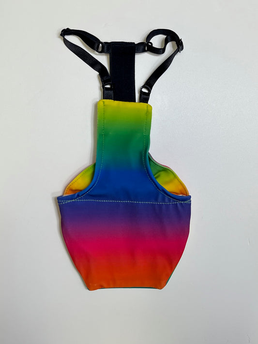 Rainbow Flocksuit